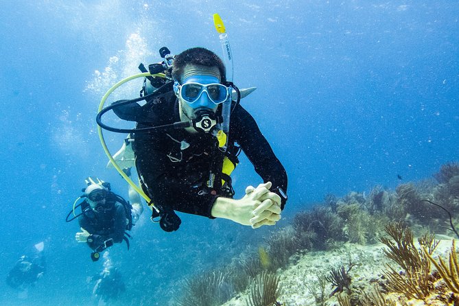 Two reef discovery dives with professional instructor (no experience necessary) - From the 9 a.m. meeting point to the pool