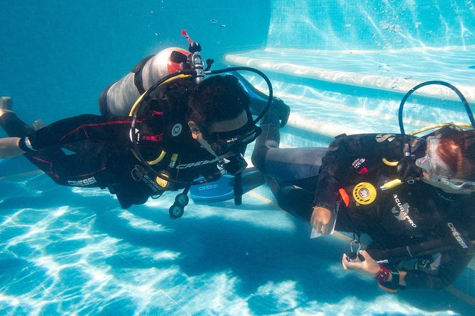 Two reef discovery dives with professional instructor (no experience necessary) - What the $150 price includes