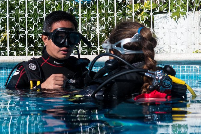Two reef discovery dives with professional instructor (no experience necessary) - What the small group really changes