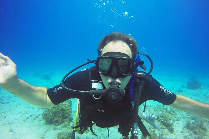 Two-Tank Dive for Certified Diving in St Thomas - The surface interval is part of the experience