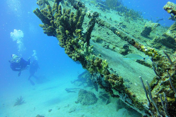 Two-Tank Dive for Certified Diving in St Thomas - Who will get the most from this St. Thomas trip