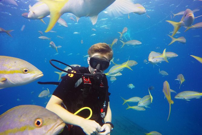Two-Tank Dive for Certified Diving in St Thomas - Practical timing for cruise passengers