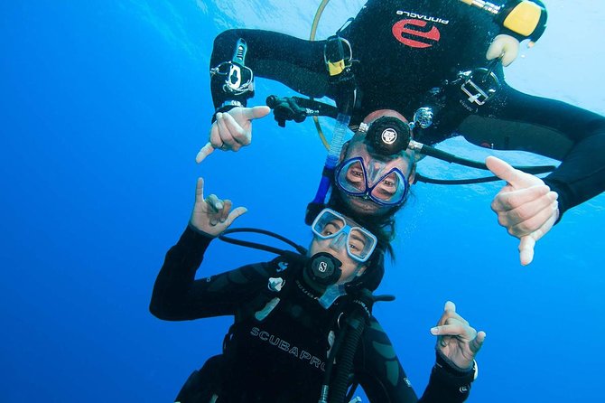 Two-Tank Dive for Certified Diving in St Thomas - Reefs, wrecks, ledges, and underwater canyons