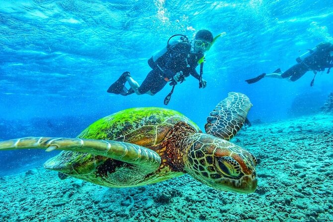 Two Tank Dive in Montego Bay w/Certified Divers - Why Carl gets special mention