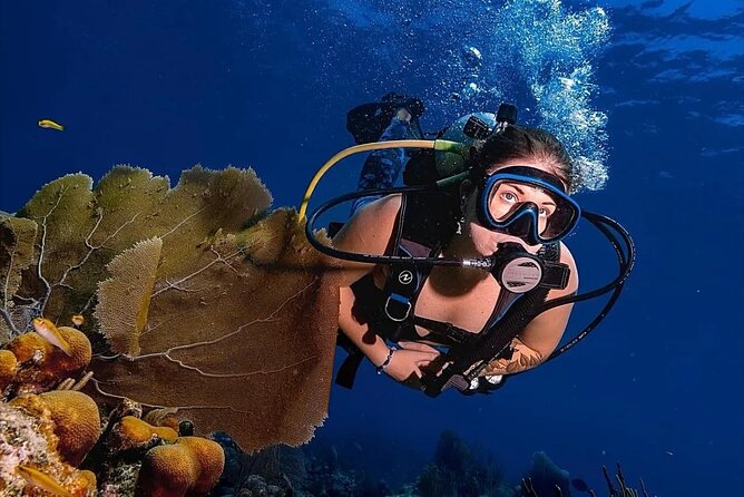 Two-Tank Morning Dive Trip for Certified Divers - The guides are a major part of the experience