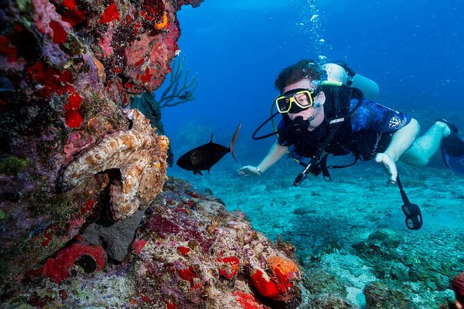 Two-Tank Morning Dive Trip for Certified Divers - Boat comfort, equipment, and group size