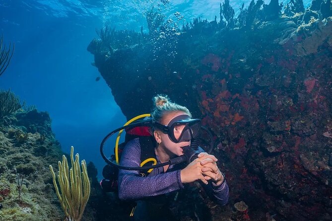 Two-Tank Morning Dive Trip for Certified Divers - Is $180 a fair price?