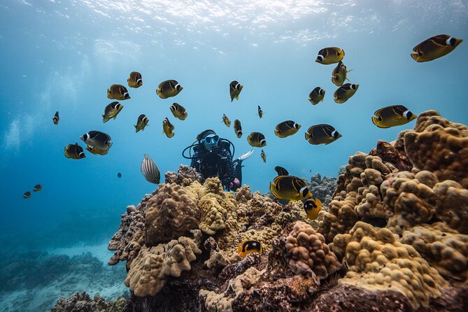 Two Tank Morning Reef Dive and Snorkel - Kona’s volcanic coast beneath the surface