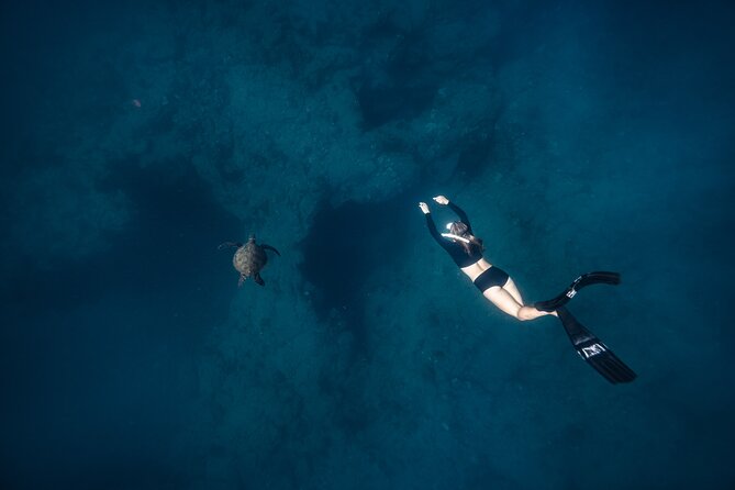 Two Tank Morning Reef Dive and Snorkel - What the guide experience means for you