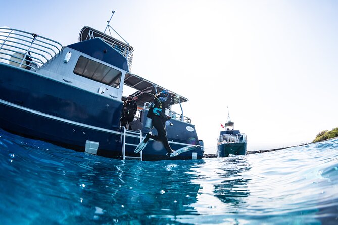 Two Tank Morning Reef Dive and Snorkel - How the five-hour morning usually feels