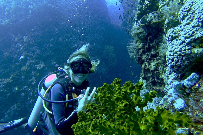Two Tank Morning Scuba Dive - Why a seven-person group matters in Kona