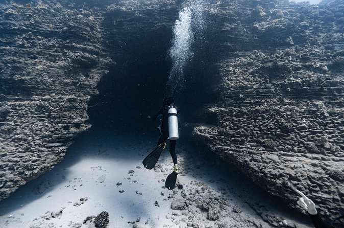 Two Tank Wreck and Drift Dive in Oahu - Who Will Get the Most From This Outing