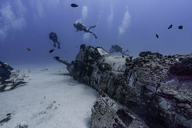 Two Tank Wreck and Drift Dive in Oahu - Why the Crew Matters for Nervous Participants