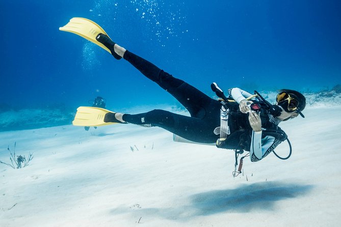 Two tanks local diving for certified divers, SCUBA gear included - Why the short ride matters in Costa Maya