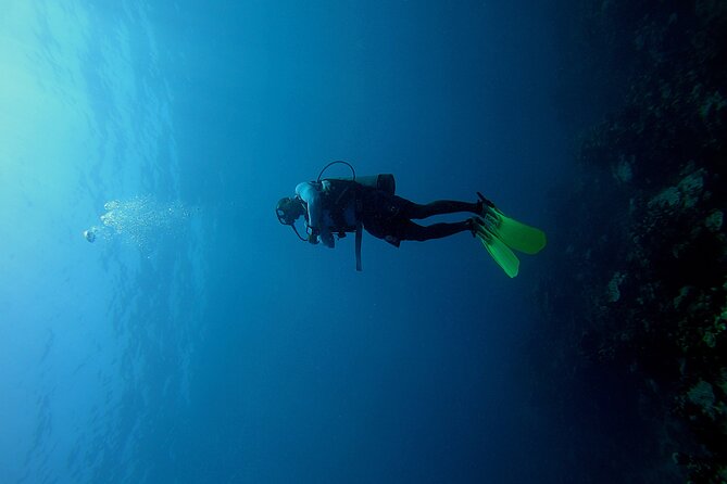 Under a sea of adventures, unforgettable diving. - Key Points Before You Book