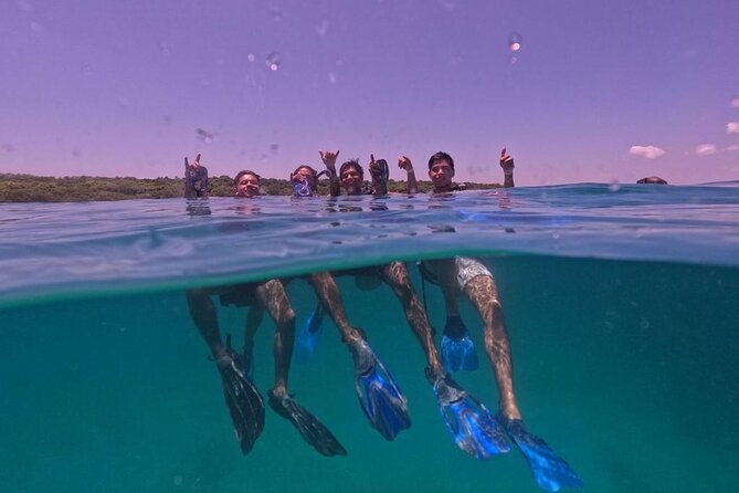 Under a sea of adventures, unforgettable diving. - From Muelle de la Bodeguita to the Open Sea