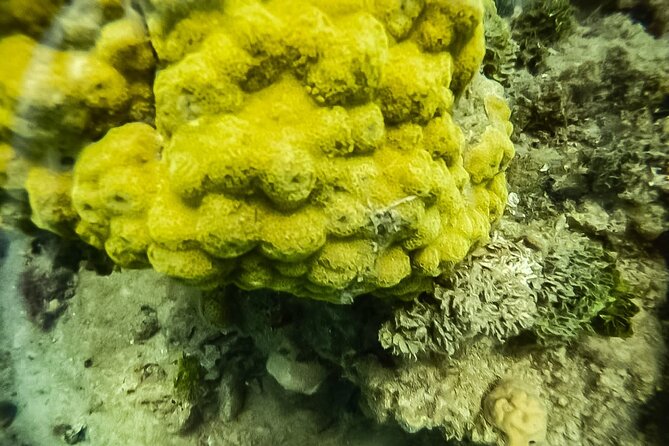 Under a sea of adventures, unforgettable diving. - The Briefing That Sets Beginners at Ease