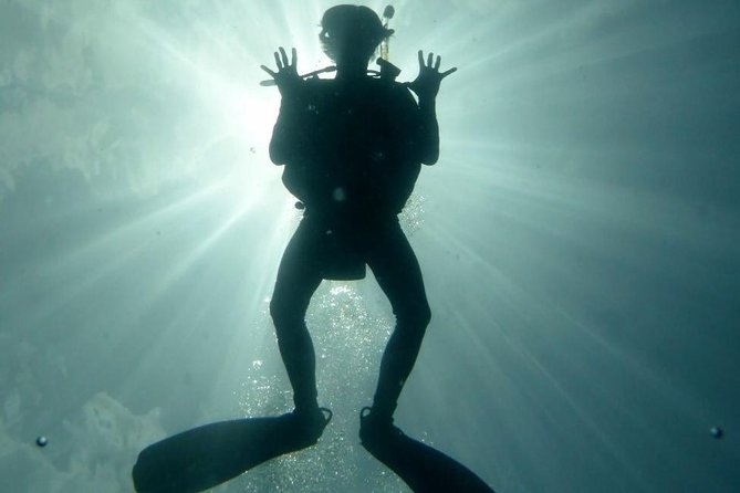 Underwater Scooter Dive (Certified Divers Only) Makena Wailea - Is $175 a fair price?