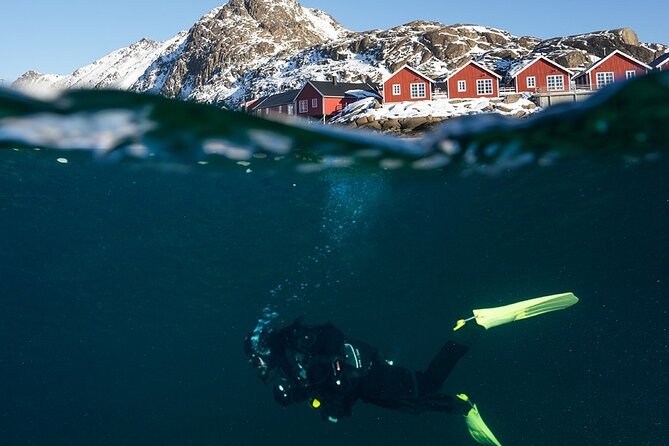 Unique Scuba Diving Experience - Starting at Lofoten Diving in Ballstad