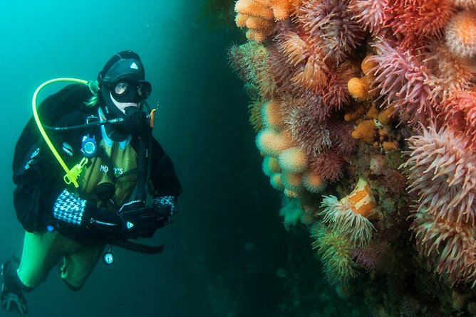 Unique Scuba Diving Experience - Is $214.31 a fair price?