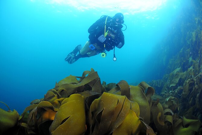 Unique Scuba Diving Experience - Preparing for cold water and specialist equipment