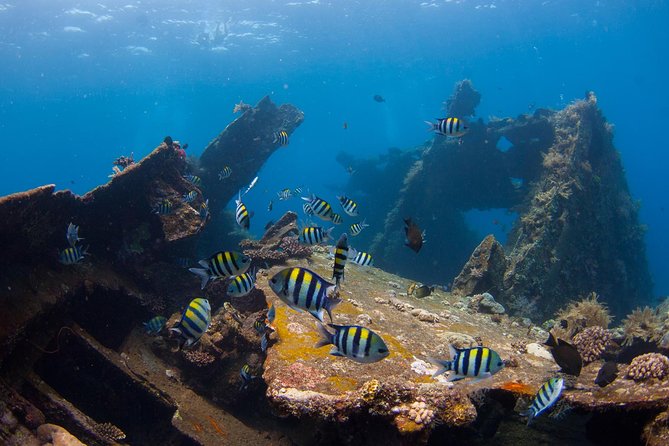 USS Liberty Shipwreck Scuba Diving at Tulamben Bali - The long morning road from Nusa Dua to Tulamben