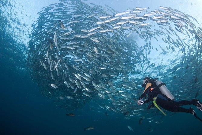 USS Liberty Shipwreck Scuba Diving at Tulamben Bali - Lunch, rest, and the second visit