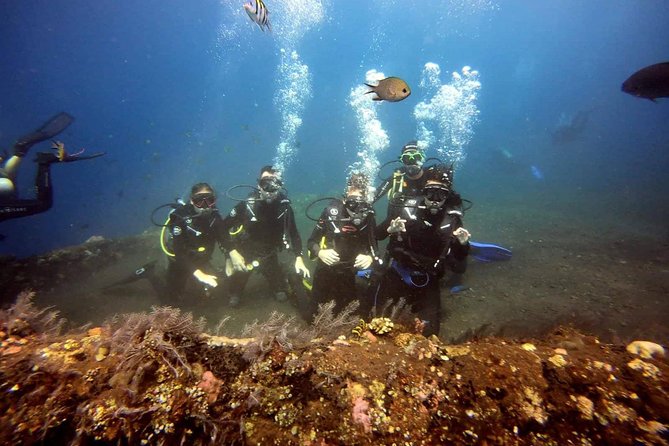 USS Liberty Shipwreck Scuba Diving at Tulamben Bali - Coral, fish, and the small creatures worth searching for