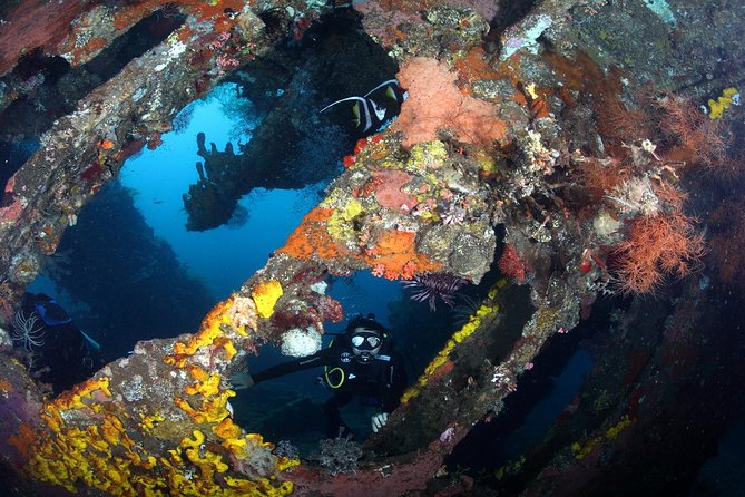 USS Liberty Shipwreck Scuba Diving at Tulamben Bali - How the instruction affects the experience