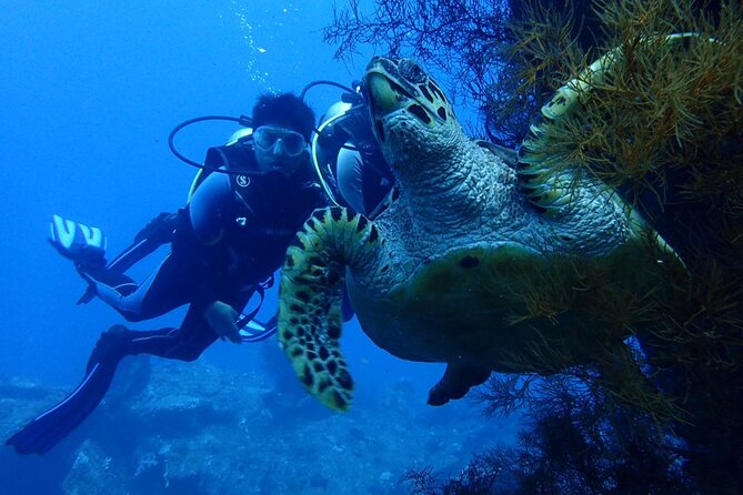 USS Liberty Shipwreck Scuba Diving at Tulamben Bali - Getting ready on Tulamben Beach