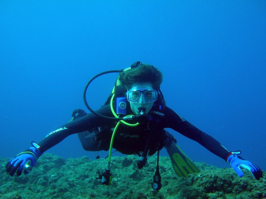 Vila Franca Do Campo: Introduction to Scuba Diving Tour - What the first underwater session feels like