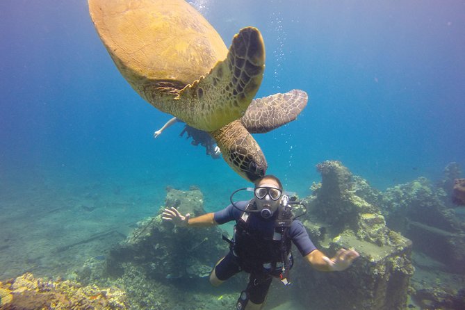 VIP Aloha Nui Snorkel Adventure w/ optional SCUBA from Lahaina - Optional SCUBA for new and certified participants