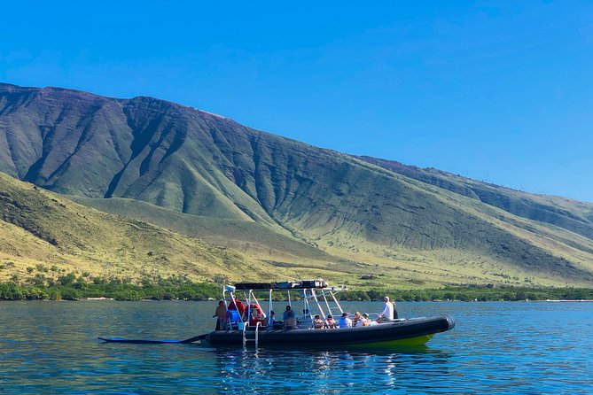 VIP Aloha Nui Snorkel Adventure w/ optional SCUBA from Lahaina - How the price compares with a basic snorkel trip