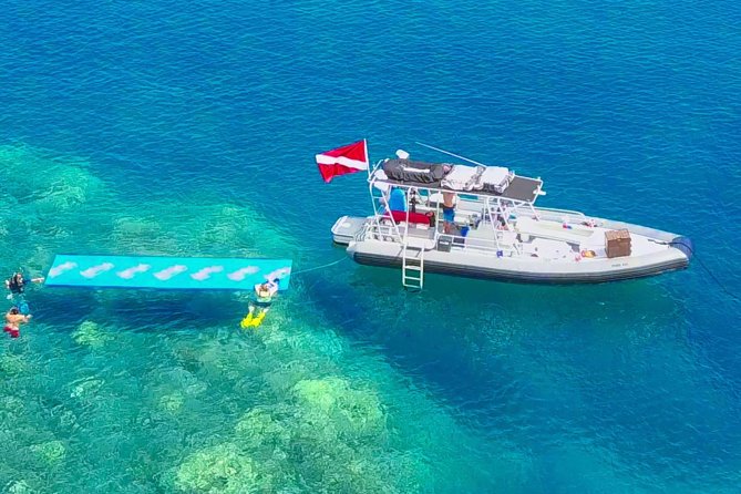 VIP Aloha Nui Snorkel Adventure w/ optional SCUBA from Lahaina - The route changes with the water