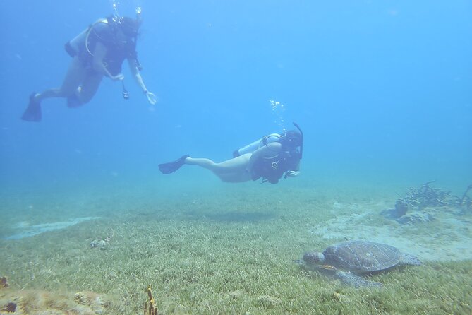 VIP Private Guided Scuba Diving/Snorkeling Excursion - A private way to see the St. Kitts coast