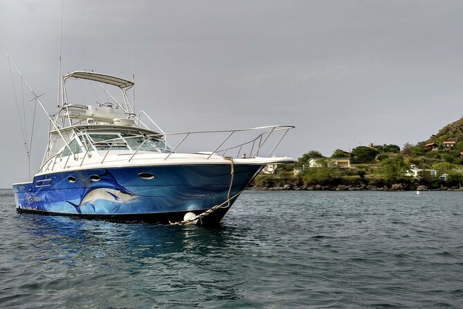 VIP Private Guided Scuba Diving/Snorkeling Excursion - Why the underwater camera is useful