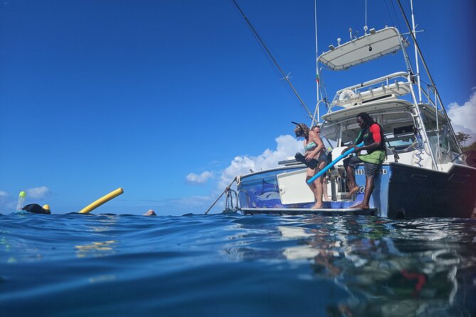 VIP Private Guided Scuba Diving/Snorkeling Excursion - Pickup from St. Kitts, Nevis, or a private yacht