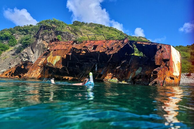 VIP Private Guided Scuba Diving/Snorkeling Excursion - Who will get the most from this outing?