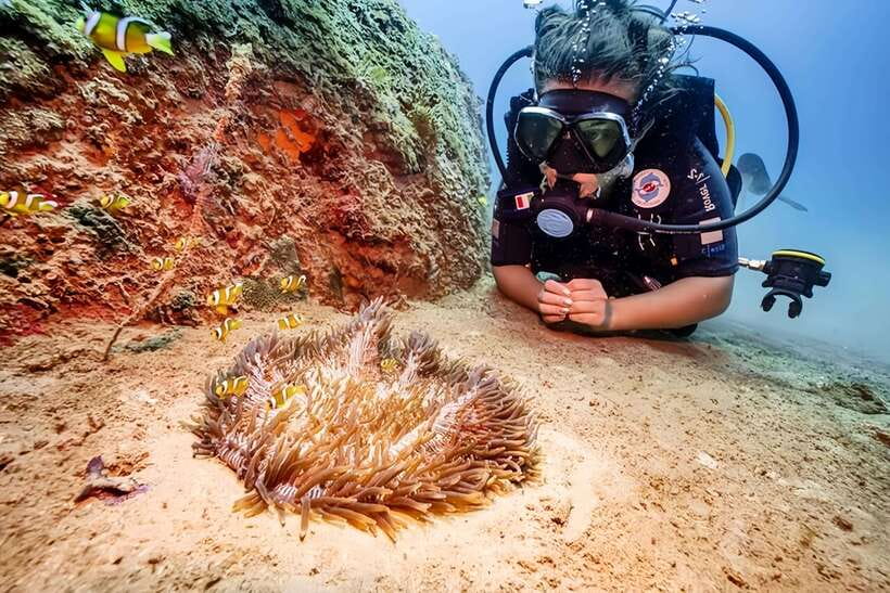 Visit Cham Islands & Snorkelling & Scuba Diving - Champa’s ancient well and the island’s love story