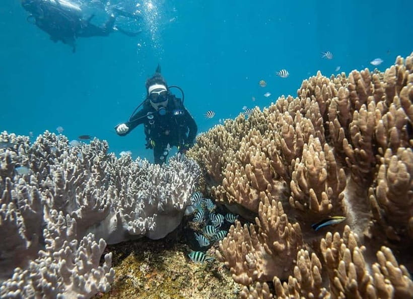 Visit Cham Islands & Snorkelling & Scuba Diving - Hai Tang Pagoda and a quieter pause