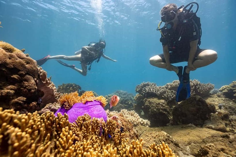 Visit Cham Islands & Snorkelling & Scuba Diving - Chong or Ong Beach for snorkeling and underwater time