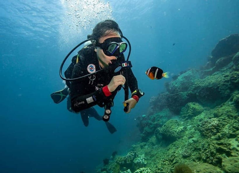 Visit Cham Islands & Snorkelling & Scuba Diving - Seafood lunch and time to rest