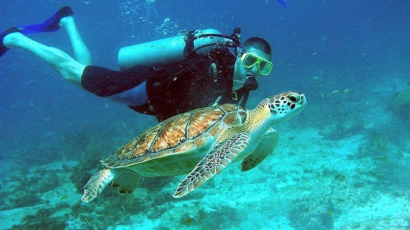 Visit Cham Islands & Snorkelling & Scuba Diving - Is $32 a fair price?