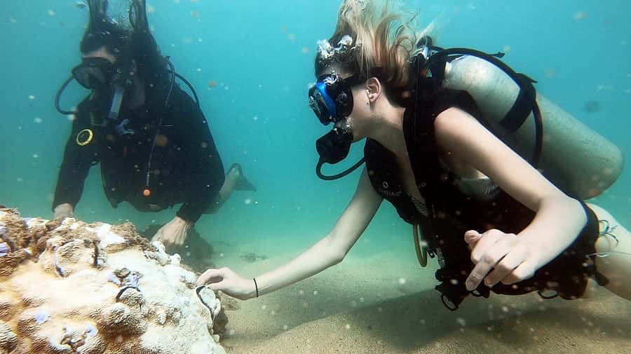 Waikiki: Honolulu Beginner Scuba Diving with Videos - Key points to know before booking