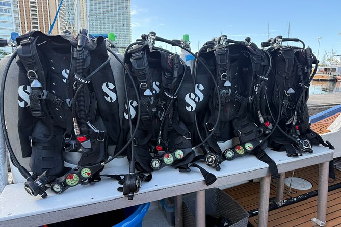 Waikiki Two Tank Guided Scuba Diving Adventure: Certified Diver - What the Four-Hour Outing Is Like