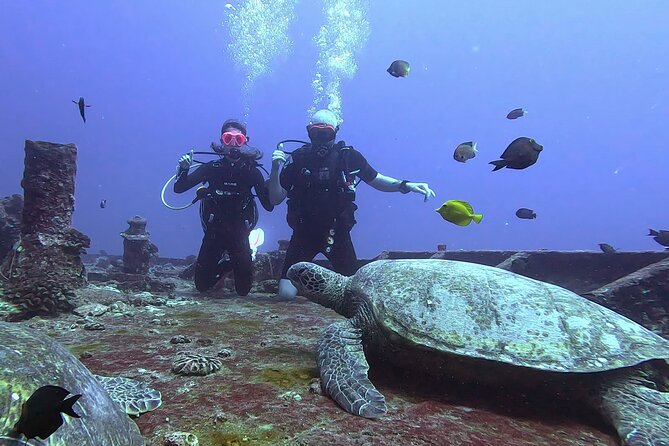 Waikiki Two Tank Guided Scuba Diving Adventure: Certified Diver - Is $249 a Fair Price?