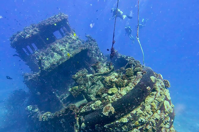 Waikiki Two Tank Guided Scuba Diving Adventure: Certified Diver - Practical Details Before You Book