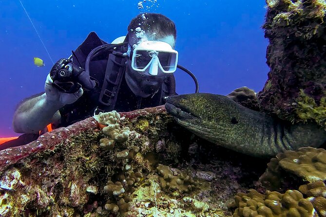 Waikiki Two Tank Guided Scuba Diving Adventure: Certified Diver - Who Will Enjoy This Most?