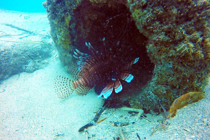 Wave Break Island Scuba Diving on the Gold Coast - Learning the basics in shallow water