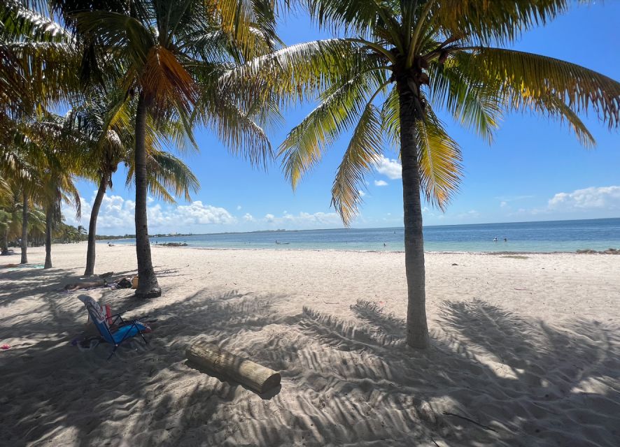 West Palm Beach: Beginner Scuba Diving Adventure with Videos - What the underwater video adds